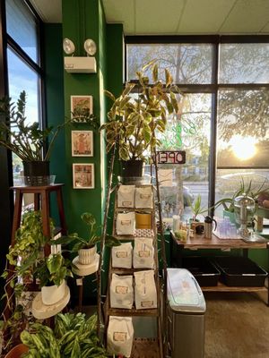 Botanical Cafe by null