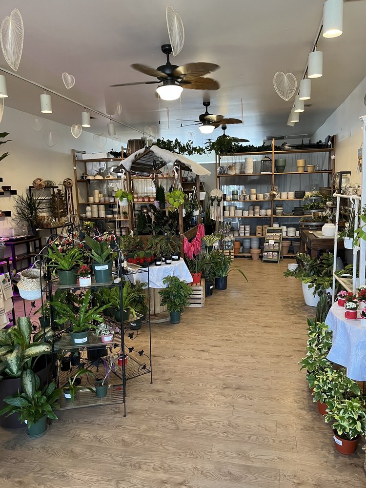 JUST ONE MORE PLANT Updated September 2024 14 Photos & 11 Reviews