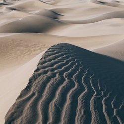Mesquite Dunes at Death Valley National Park