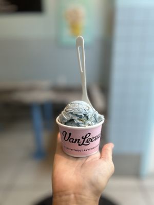Van Leeuwen Ice Cream by null
