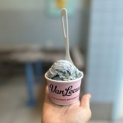 Van Leeuwen Ice Cream - "Planet Earth" vegan ice cream.