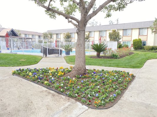 HOA Tree Management - We understand that landscaping not only affects the aesthetics of properties, but it also influences the property’s value and safety. OC Tree Patrol serves places like Yorba Linda, Fullerton, Diamond Bar and many SoCal cities. HOA Tree Management - We understand that landscaping not only affects the aesthetics of properties, but it also influences the property’s value and safety. OC Tree Patrol serves places like Yorba Linda, Fullerton, Diamond Bar and many SoCal cities.