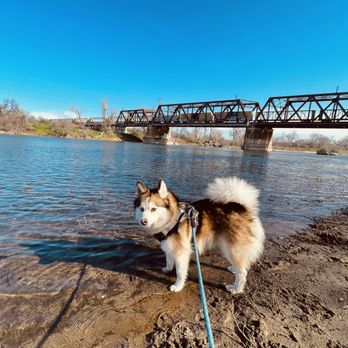 Banfield Pet Hospital - American River, Sacramento - Veterinarians Near Me - Davis, California