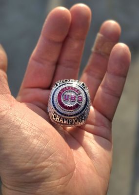 Wrigley Field by null
