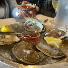 Oysters