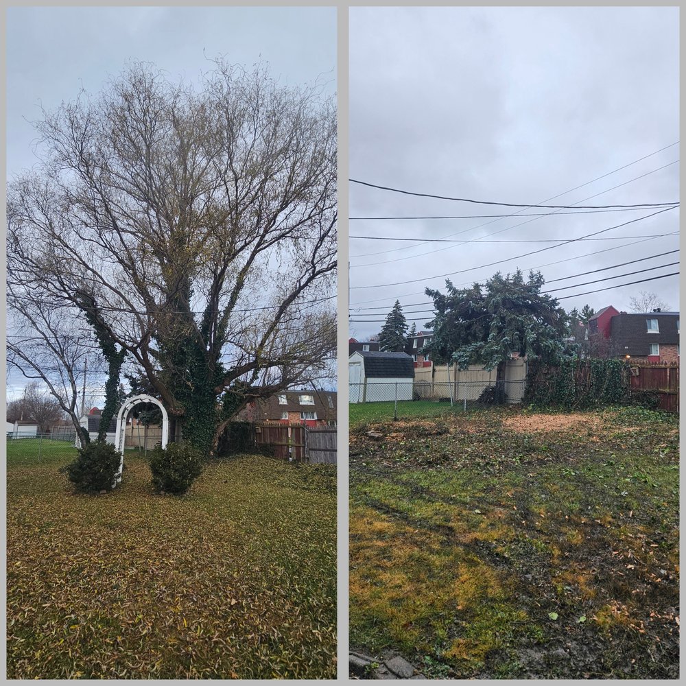 Good Andy's Tree Business - tree service in Clarence Center, NY