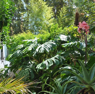 Casa do Barão by null