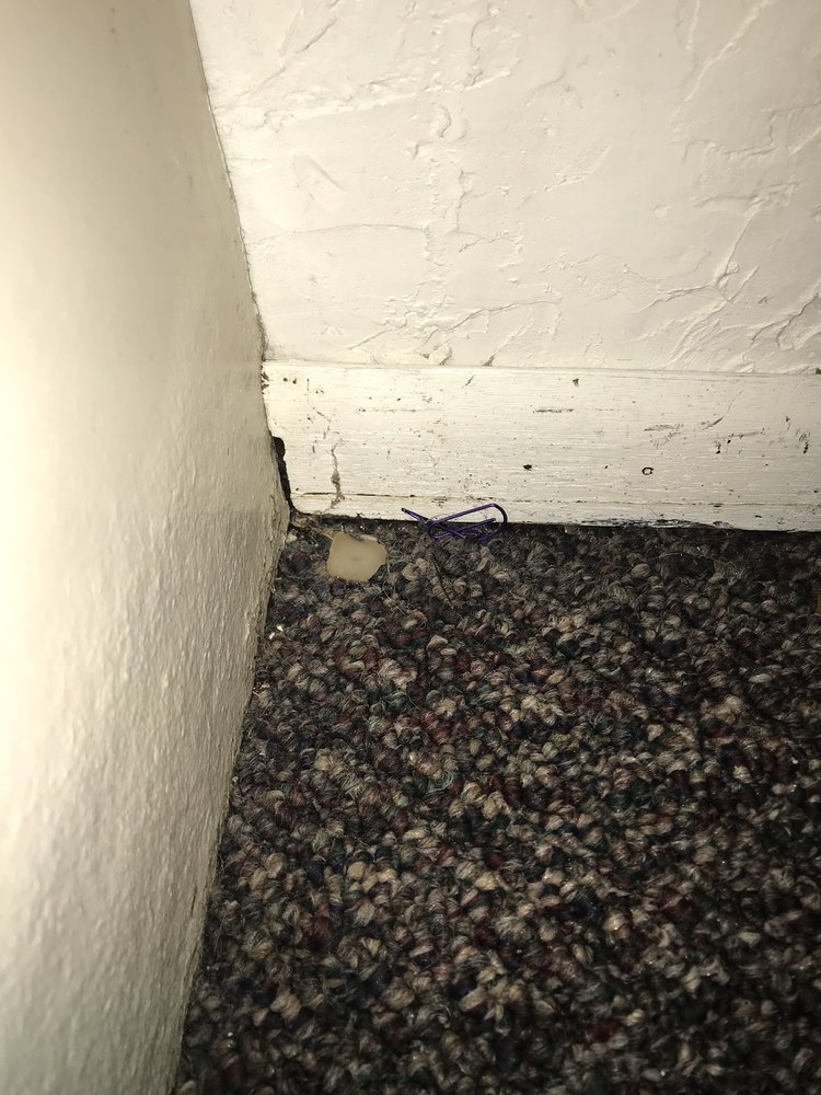 ALPINE FLATS Updated August 2024 15 Photos 729 E 900th N, Logan