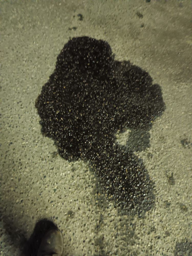 LUNDE AUTO SALES Updated September 2024 218 Ash Ave NW, Wadena