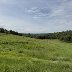 Neale Woods Nature Reserve