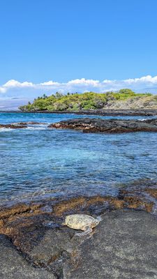 Holoholokai Beach Park Rd by null