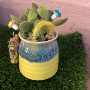 Zinks Town - Succulent plant from Zinks Town - Art Galleries Near Me - Albuquerque, New Mexico