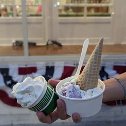 Meltdown - Pup cup ($1) + blueberry cheesecake with waffle cone ($5.50)