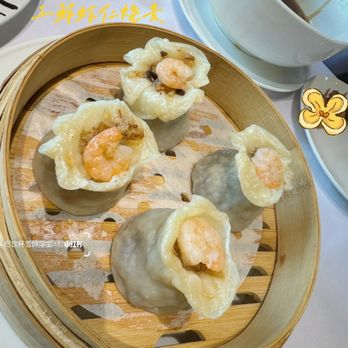 Osmanthus - Asian Fusion Near Me - Richmond, British Columbia Osmanthus - Asian Fusion Near Me - Richmond, British Columbia