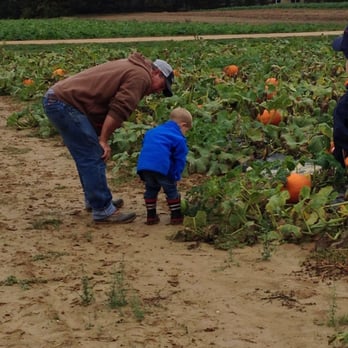 Shlagel Farms - Picking out pumpkins with Farmer Russ - Farmers Market Near Me - Waldorf, Maryland Shlagel Farms - Picking out pumpkins with Farmer Russ - Farmers Market Near Me - Waldorf, Maryland