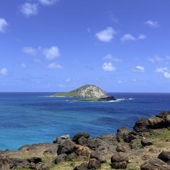 Aloha Ke Akua Tours - Bus Tours Near Me
