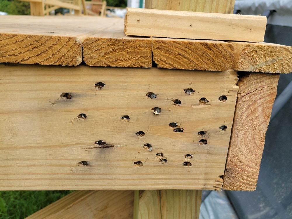 Slide of Natola Construction