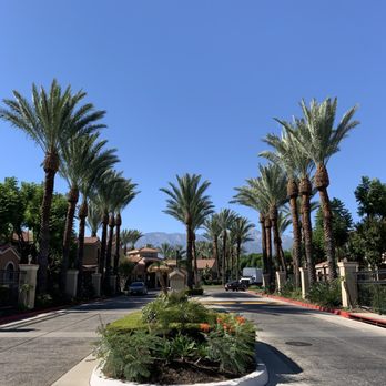 So Cal Tree Care - Tree Services Near Me - Escondido, California So Cal Tree Care - Tree Services Near Me - Escondido, California