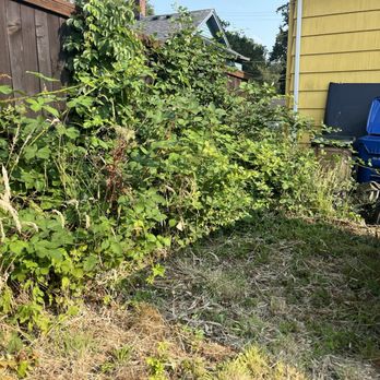 Ace 1 Construction & Landscaping - Landscaping Near Me
