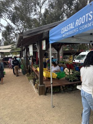 Coastal Roots Farm by null