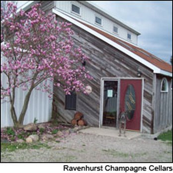 Ravenhurst Champagne Cellars - a dog sitting in front of a barn - Wine Tasting Room Near Me - Mount Victory, Ohio Ravenhurst Champagne Cellars - a dog sitting in front of a barn - Wine Tasting Room Near Me - Mount Victory, Ohio