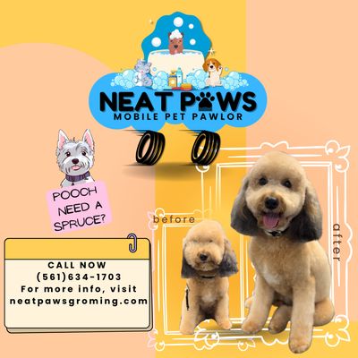 Before&After - Different breeds, haircuts based on parent request