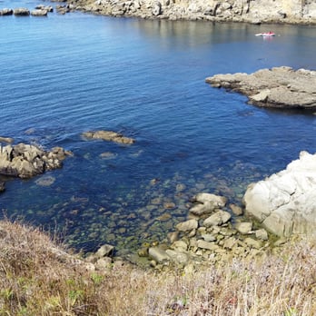 Salt Point State Park - Marine reserve. There is a way to get down there. - Parks Near Me - Jenner, California Salt Point State Park - Marine reserve. There is a way to get down there. - Parks Near Me - Jenner, California