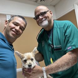 Mueller Animal Hospital