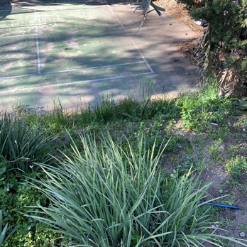 Signature Landscape - More weeds, I did clean up slope and pulled weeds myself. They did pick them up. - Landscaping Near Me - Redlands, California Signature Landscape - More weeds, I did clean up slope and pulled weeds myself. They did pick them up. - Landscaping Near Me - Redlands, California