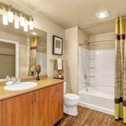 Millington at Merrill Creek by Prime Residential - Millington at Merrill Creek - bathrooms with lots of storage and light