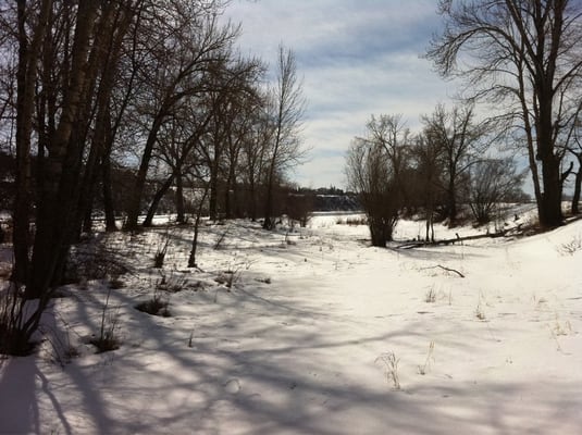 Fish Creek Provincial Park by null