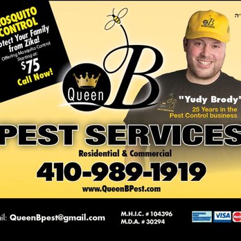 Queen B Pest Services - Pest Control Near Me - Pikesville, Maryland Queen B Pest Services - Pest Control Near Me - Pikesville, Maryland