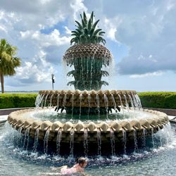 Pineapple Fountain At Waterfront Park - You can swim in the fountain?!