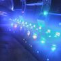 Photo of LaserStar 83