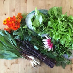 Michelle Gillespie Nutrition