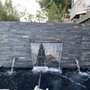 Photo of Tino’s Koi Pond & Consulting