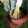 Mister-B Pest Control