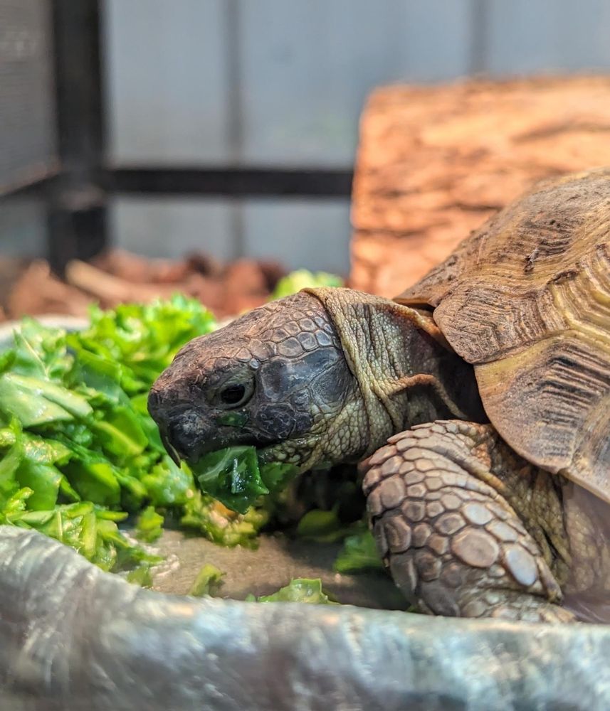 WILD HABITATS Updated September 2024 Request Information 1350 W