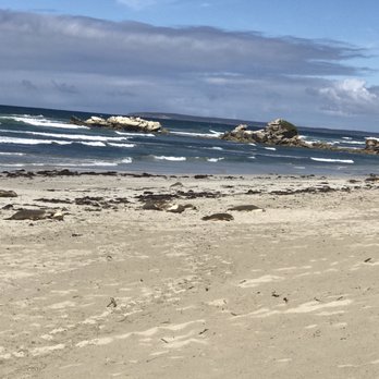 Seal Bay Conservation Park - Parks Near Me - Kangaroo Island, SA