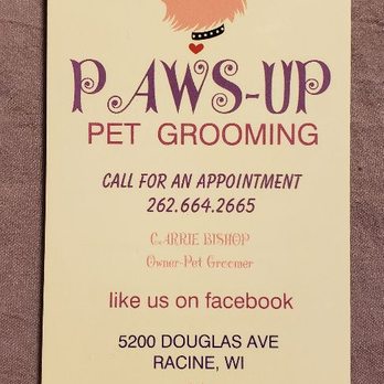 Paws Up Pet Grooming - Pet Groomers Near Me - Racine, Wisconsin Paws Up Pet Grooming - Pet Groomers Near Me - Racine, Wisconsin