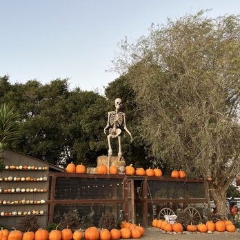 Borchard Farms - Pumpkin Patches Near Me - Salinas, California
