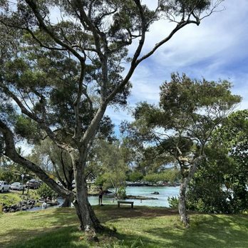 Carlsmith Beach Park - Parks Near Me - Hilo, Hawaii