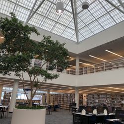 Lake County Public Library, Merrillville Branch - Sky light ceiling