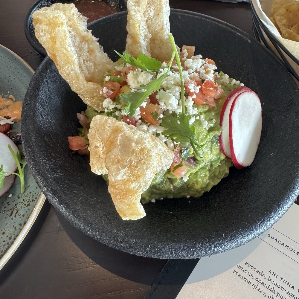 Coasterra - Gaucamole - Mexican Near Me - San Diego, California