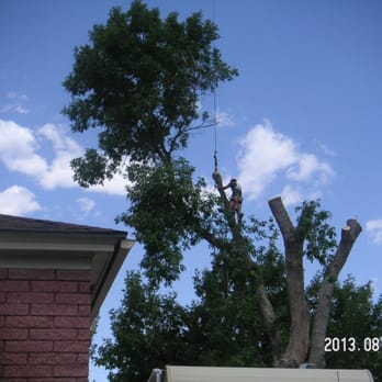 Abiding Dreams Tree Removal - Tree Services Near Me Abiding Dreams Tree Removal - Tree Services Near Me