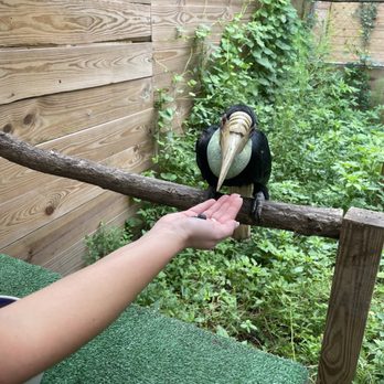 North Florida Wildlife Center - Tours Near Me - Lamont, Florida North Florida Wildlife Center - Tours Near Me - Lamont, Florida