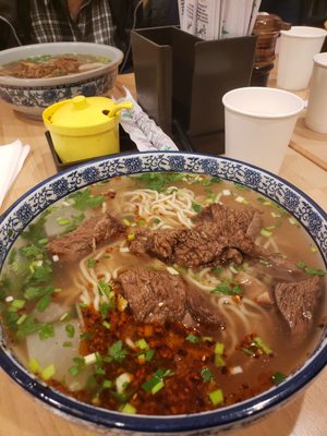 I Fresh Noodle by null