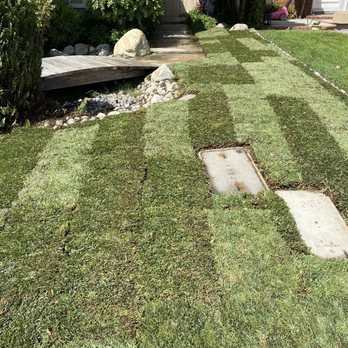 Nicanor Landscape - Immediately after install pic. - Landscaping Near Me Nicanor Landscape - Immediately after install pic. - Landscaping Near Me