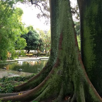 Jardim da Estrela - Parks Near Me - Lisbon, 11