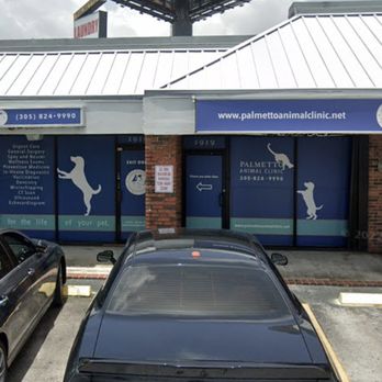 Palmetto Animal Clinic - Veterinarians Near Me - Hialeah, Florida Palmetto Animal Clinic - Veterinarians Near Me - Hialeah, Florida